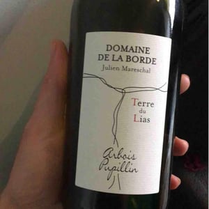 Domaine de la Borde - Julien Mareschal - Ploussard Côte de Feule