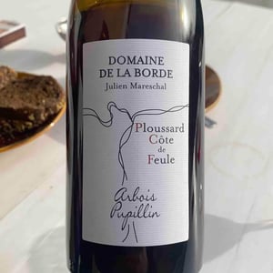 Ploussard Côte de Feule - Domaine de la Borde - julien-mareschal