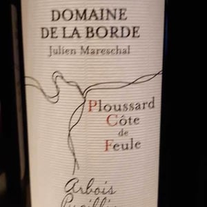 Domaine de la Borde - Julien Mareschal - Ploussard Côte de Feule