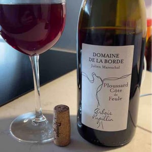 Domaine de la Borde - Julien Mareschal - Ploussard Côte de Feule