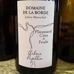 Ploussard Côte de Feule - Domaine de la Borde - julien-mareschal