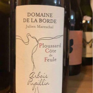 Ploussard Côte de Feule - Domaine de la Borde - Julien Mareschal 
