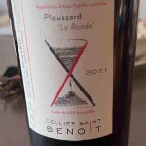 Ploussard "La Ronde" - Cellier Saint Benoit - Benjamin Benoit -2019