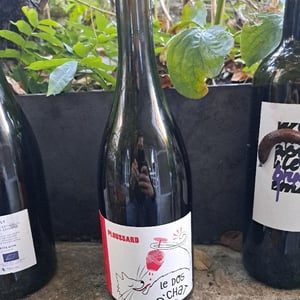 Ploussard - Domaine de Saint Pierre - Fabrice Dodane 