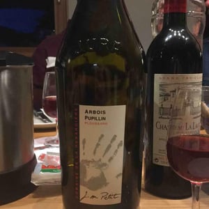 Ploussard - Domaine de la Renardière - jean-michel-laurence-et-leo-petit