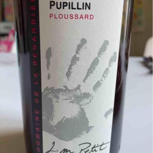 Ploussard - Domaine de la Renardière - jean-michel-laurence-et-leo-petit