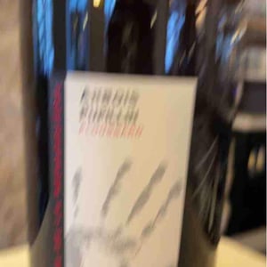 Ploussard - Domaine de la Renardière - jean-michel-laurence-et-leo-petit