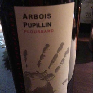 Domaine de la Renardière - Jean-Michel, Laurence et Leo Petit - Ploussard