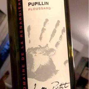 Ploussard - Domaine de la Renardière - Jean-Michel, Laurence et Leo Petit 