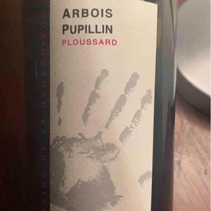 Ploussard - Domaine de la Renardière - Jean-Michel, Laurence et Leo Petit 