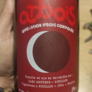 Ploussard trousseau 2020 - Domaine Renaud Bruyère & Adeline Houillon - Renaud Bruyère & Adeline Houillon -2018