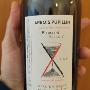 Ploussard "Viandris" - Cellier Saint Benoit - benjamin-benoit -2020