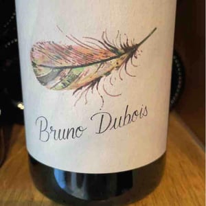 Plume - Bruno Dubois - bruno-dubois