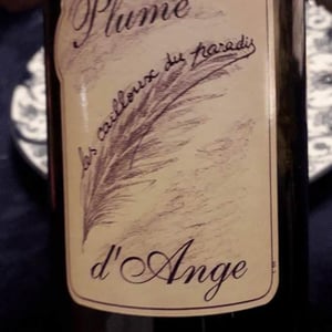 Plume d'Ange 2016