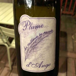 Plume d'Ange - Les Cailloux du Paradis - claude-etienne-courtois