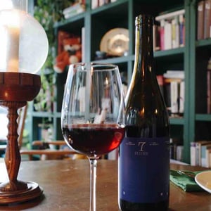 PLUME - Domaine 7 - abel-benmaamar -2021
