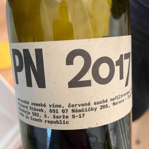 Pn 2017 - Richard Stavek - richard-stavek