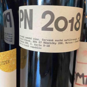 Pn 2017 - Richard Stavek - richard-stavek