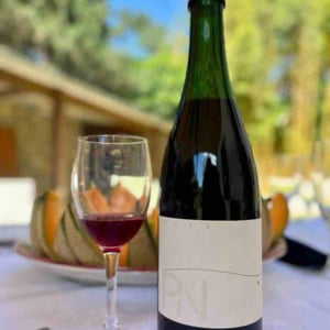 PN - Domaine de la Colline - bruno-sylvain-lebrun -2023