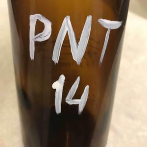PNT - Le Coste - clementine-bouveron-gianmarco-antonuzi