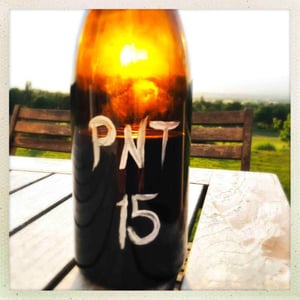 PNT - Le Coste - clementine-bouveron-gianmarco-antonuzi
