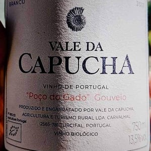 Poço do Gado - Vale da Capucha - pedro-marques