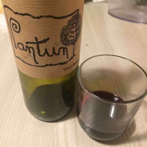 Pantun Rosso - Cantina Pantun - domenico-caragnano