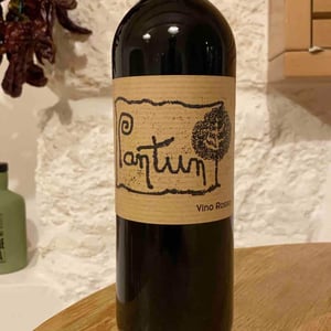 Pantun Rosso - Cantina Pantun - domenico-caragnano