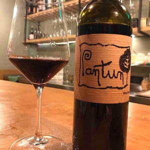Pantun Rosso - Cantina Pantun - Domenico Caragnano 