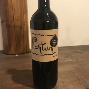 Pantun Rosso - Cantina Pantun - domenico-caragnano