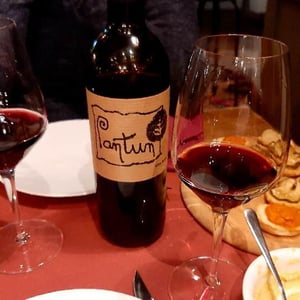 Pantun Rosso - Cantina Pantun - Domenico Caragnano 