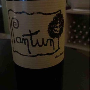 Pantun Rosso - Cantina Pantun - domenico-caragnano