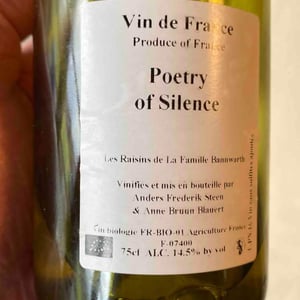 Poetry of Silence (X Laurent Bannwarth) - Anders Frederik Steen & Anne Bruun Blauert - anders-frederik-steen-anne-bruun-blauert