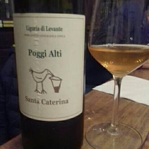 Poggi Alti 2016