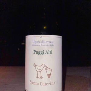 Poggi Alti - Santa Caterina - Andrea Kihlgren 