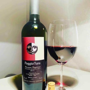 Poggio Tura - Vigne dei Boschi - Paolo Babini 