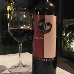 Poggio Tura - Vigne dei Boschi - Paolo Babini 