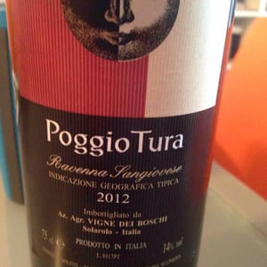 Poggio Tura - Vigne dei Boschi - paolo-babini