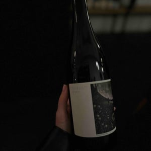 Poïèsis - Clos des Plantes - Olivier Lejeune 