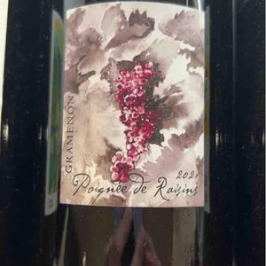 Poignée de Raisin - Domaine Gramenon - michele-aubery-laurent-maxime-francois-laurent