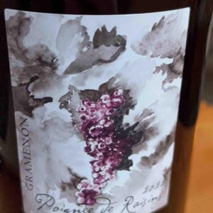 Poignée de Raisin - Domaine Gramenon - michele-aubery-laurent-maxime-francois-laurent