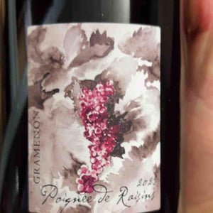 Poignée de Raisin - Domaine Gramenon - Michèle Aubéry-Laurent & Maxime-Francois Laurent 