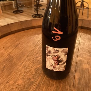 Poignée de Raisin - Domaine Gramenon - michele-aubery-laurent-maxime-francois-laurent
