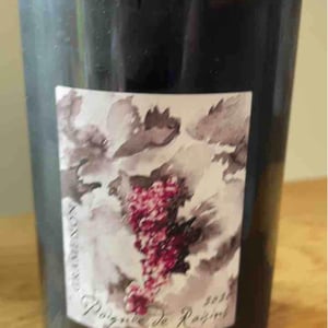 Poignée de Raisin - Domaine Gramenon - michele-aubery-laurent-maxime-francois-laurent