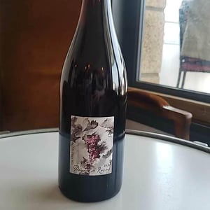 Domaine Gramenon - Michèle Aubéry-Laurent & Maxime-Francois Laurent - Poignée de Raisin