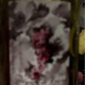 Domaine Gramenon - Michèle Aubéry-Laurent & Maxime-Francois Laurent - Poignée de Raisin