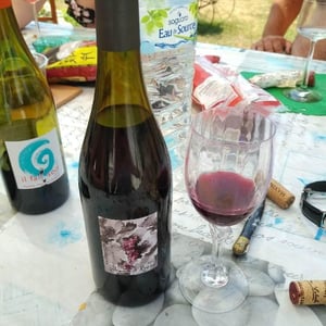 Domaine Gramenon - Michèle Aubéry-Laurent & Maxime-Francois Laurent - Poignée de Raisin