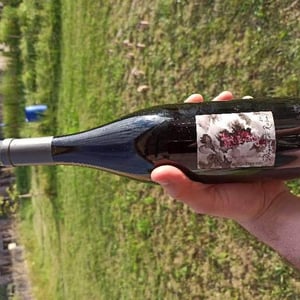 Domaine Gramenon - Michèle Aubéry-Laurent & Maxime-Francois Laurent - Poignée de Raisin