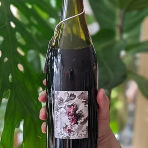 Domaine Gramenon - Michèle Aubéry-Laurent & Maxime-Francois Laurent - Poignée de Raisin