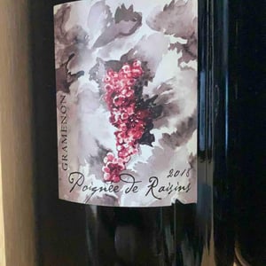 Poignée de Raisin - Domaine Gramenon - michele-aubery-laurent-maxime-francois-laurent